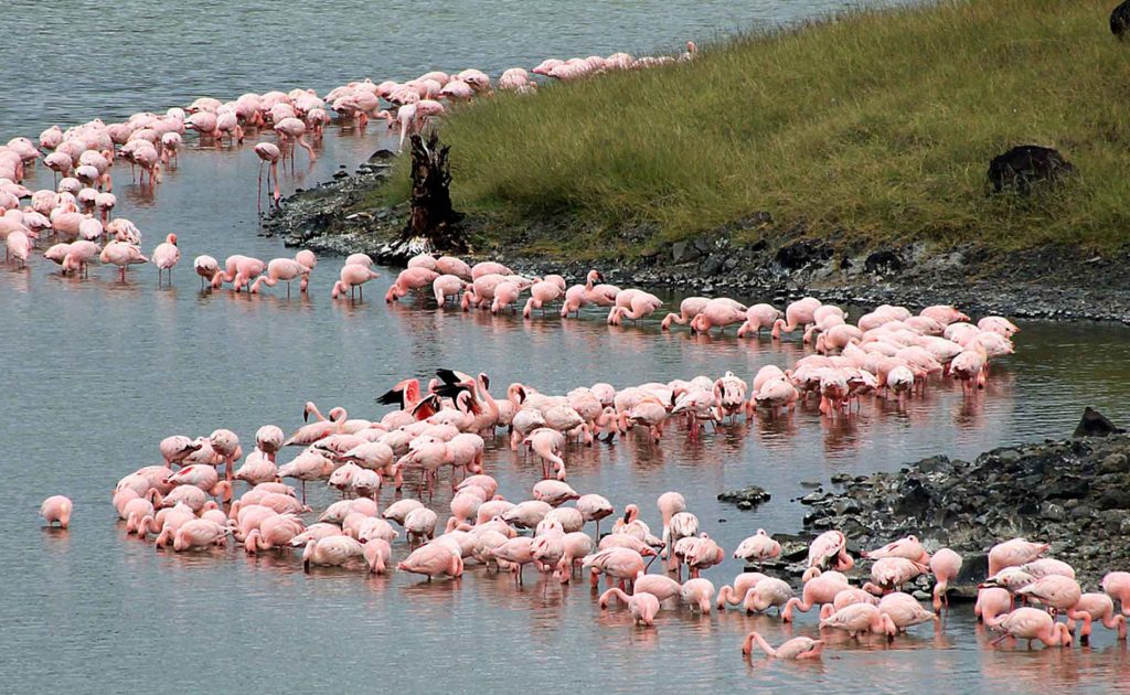 arusha national park mommella