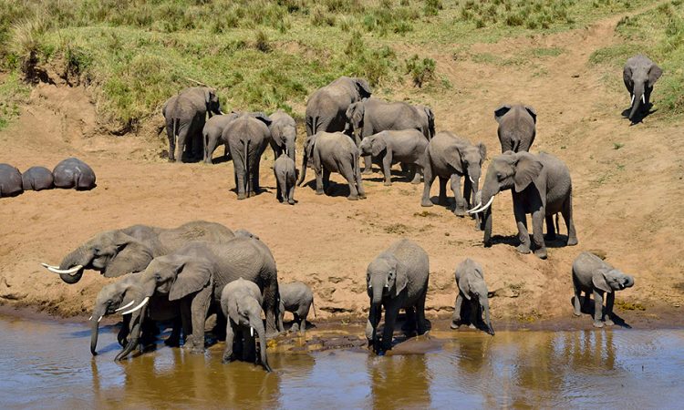 tara river tarangire